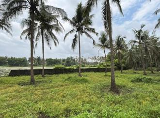 Residential Land for Sale in Thrissur, Thrissur, Kuttoor
