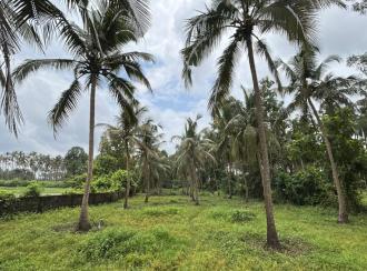 Residential Land for Sale in Thrissur, Thrissur, Kuttoor