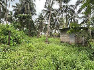 Residential Land for Sale in Thrissur, Thrissur, Kuttoor