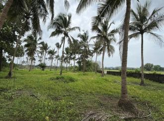 Residential Land for Sale in Thrissur, Thrissur, Kuttoor