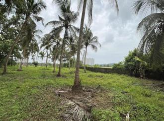 Residential Land for Sale in Thrissur, Thrissur, Kuttoor