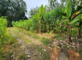 Residential Land for Sale in Kottayam, Ettumanoor, Kothanalloor