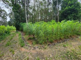 Residential Land for Sale in Kottayam, Ettumanoor, Kothanalloor