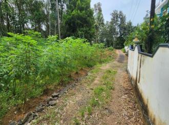 Residential Land for Sale in Kottayam, Ettumanoor, Kothanalloor