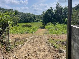 Residential Land, Palakkad