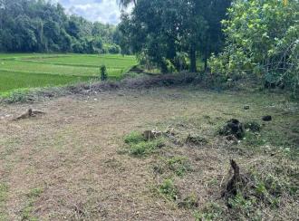 Residential Land for Sale in Palakkad, Vaniyamkulam, Kothakurssi
