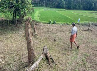Residential Land for Sale in Palakkad, Vaniyamkulam, Kothakurssi