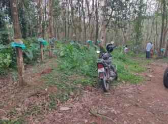 Residential Land for Sale in Kollam, Kottarakkara, Ampalakara