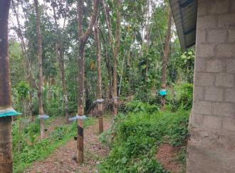 Residential Land for Sale in Kollam, Kottarakkara, Ampalakara