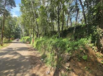 Residential Land for SaleKottayam, Karukachal, Nedumkunnam