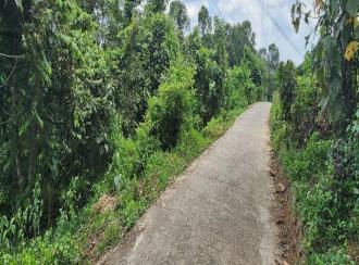 Residential Land, Kottayam
