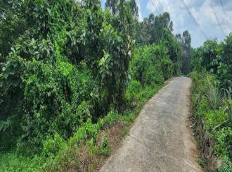 Residential Land for Sale in Kottayam, Pampady, Vazhoor