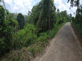Residential Land for Sale in Kottayam, Pampady, Vazhoor