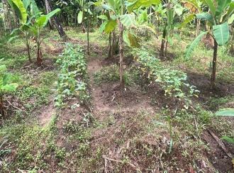 Residential Land for Sale in Thrissur, Kodungallur, Kodungallur