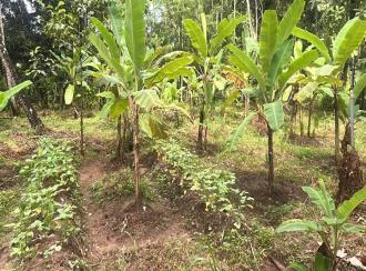 Residential Land for Sale in Thrissur, Kodungallur, Kodungallur