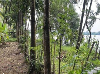 Residential Land for Sale in Thrissur, Kodungallur, Kodungallur