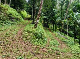 Residential Land for Sale in Kasargod, Vellarikundu, Parappa