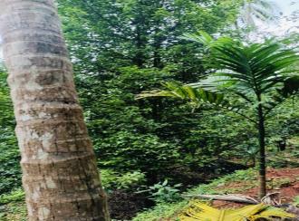 Residential Land for Sale in Kasargod, Vellarikundu, Parappa