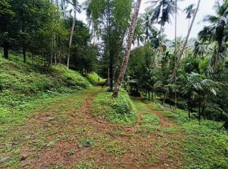 Residential Land for Sale in Kasargod, Vellarikundu, Parappa