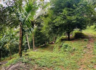 Residential Land for Sale in Kasargod, Vellarikundu, Parappa