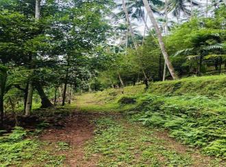 Residential Land for SaleKasargod, Vellarikundu, Parappa