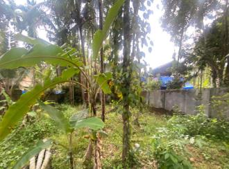Residential Land for Sale in Ernakulam, Vypin, Cherai