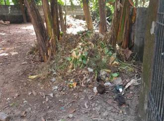 Residential Land, Ernakulam