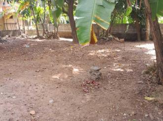 Residential Land for Sale in Ernakulam, Edappally, Edapally