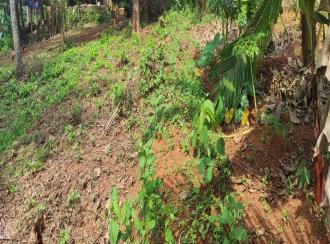 Residential Land, Malappuram