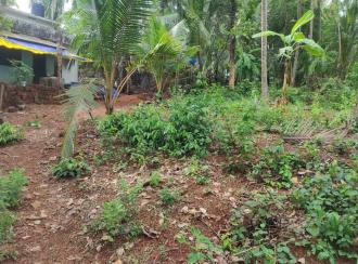 Residential Land for Sale in Malappuram, Manjeri, Kidangazhi