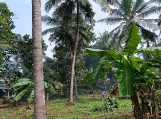 Residential Land for Sale in Malappuram, Manjeri, Kidangazhi