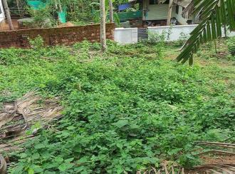 Residential Land for Sale in Malappuram, Manjeri, Kidangazhi