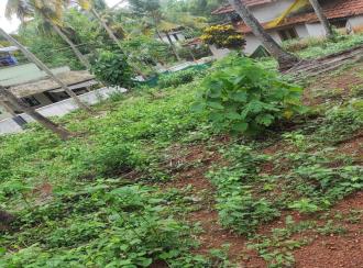 Residential Land for Sale in Malappuram, Manjeri, Kidangazhi