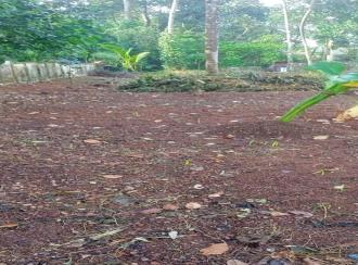 Residential Land for Sale in Kollam, Sasthamcotta, Sasthamcotta