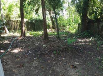 Residential Land for Sale in Thrissur, Kodungallur, Kodungallur