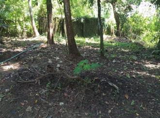 Residential Land for Sale in Thrissur, Kodungallur, Kodungallur