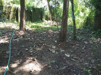 Residential Land for Sale in Thrissur, Kodungallur, Kodungallur