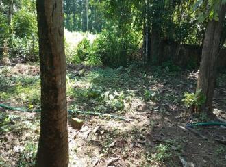 Residential Land for Sale in Thrissur, Kodungallur, Kodungallur