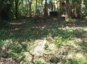 Residential Land for Sale in Thrissur, Kodungallur, Kodungallur