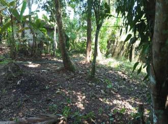 Residential Land for Sale in Thrissur, Kodungallur, Kodungallur