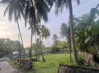 Residential Land for Sale in Palakkad, Chittur, Koduvayur