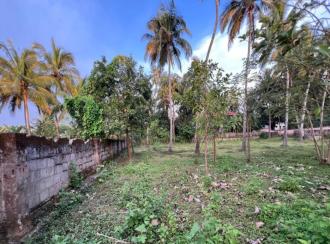 Residential Land for Sale in Palakkad, Chittur, Koduvayur