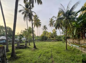 Residential Land for Sale in Palakkad, Chittur, Koduvayur