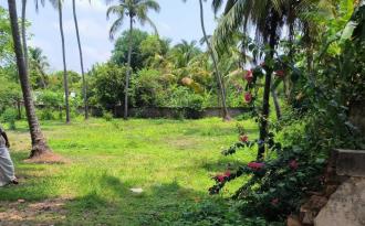 Residential Land for Sale in Palakkad, Chittur, Koduvayur