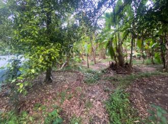 Residential Land for Sale in Ernakulam, Aluva, Malayattoor