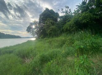 Residential Land for Sale in Ernakulam, Aluva, Malayattoor