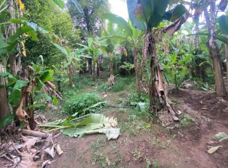 Residential Land for Sale in Ernakulam, Aluva, Malayattoor