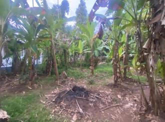 Residential Land for Sale in Ernakulam, Aluva, Malayattoor