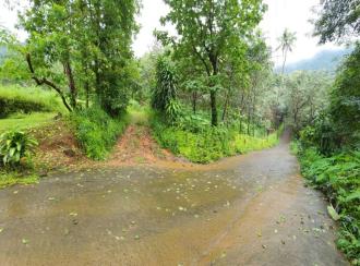 കൃഷി ഭൂമി വില്പനയ്ക്ക് കോട്ടയം, Pala, Theekoy