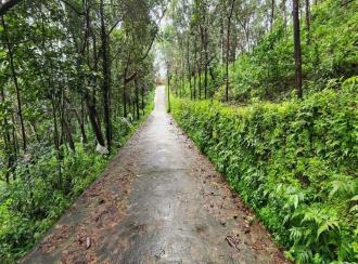 കൃഷി ഭൂമി വില്പനയ്ക്ക് കോട്ടയം, Pala, Theekoy